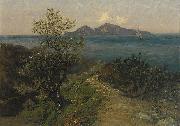 Julius Ludwig Friedrich Runge Sudliche Kustenlandschaft. Blick von der Hohe auf Insel an einem Sonnentag Sweden oil painting artist